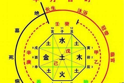 喜用神怎麼看|八字入门基础 第六篇 如何判断八字喜用神